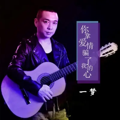 你拿爱情骗了我的心封面