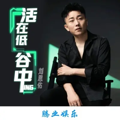 活在低谷中 (DJ版)封面