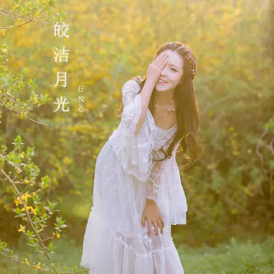 皎洁月光封面