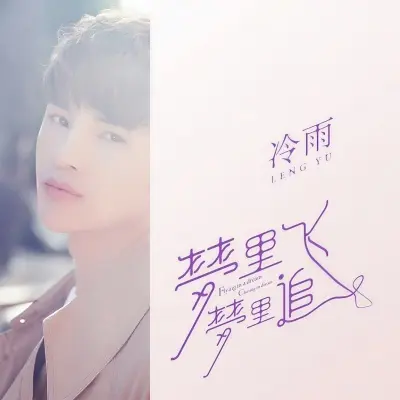 梦里飞梦里追 (完整版) - 冷雨封面