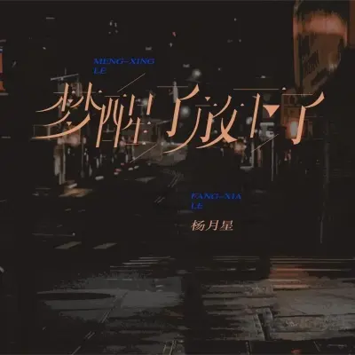 梦醒了放下了 (完整版)封面