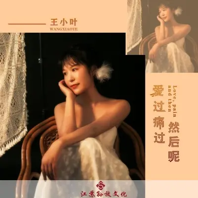 爱过痛过然后呢 (DJ版)封面