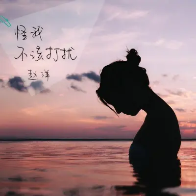 怪我不该打扰封面