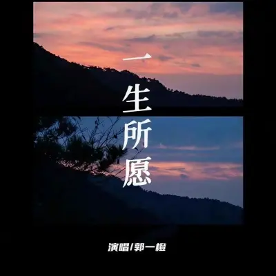 一生所愿 (国粤双语版)封面