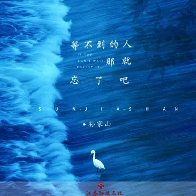 等不到的人那就忘了吧 (广场舞版)封面