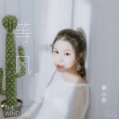 等风封面