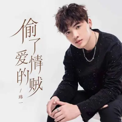偷了爱情的贼封面