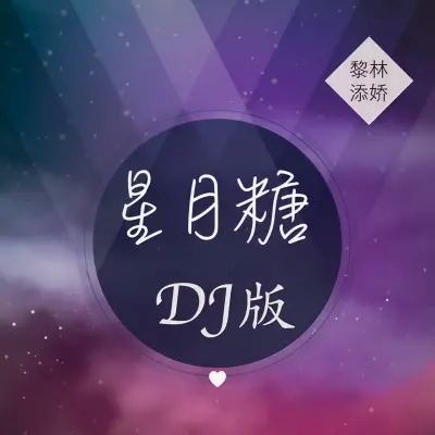 星月糖 (DJ版)封面