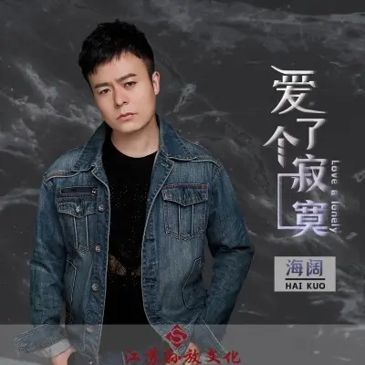 爱了个寂寞封面