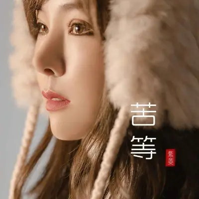 苦等封面