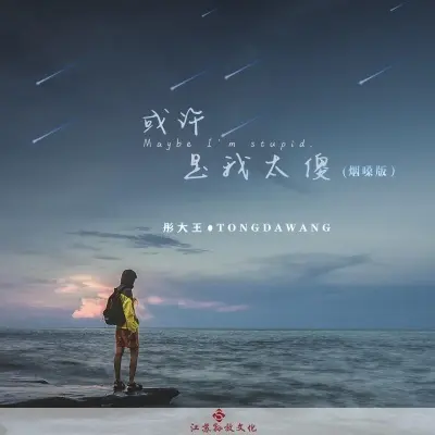 或许是我太傻 (烟嗓版)封面