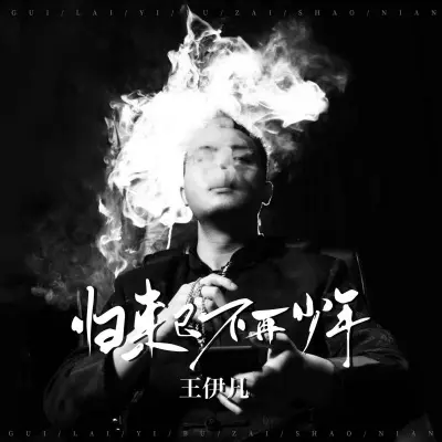归来已不再少年封面