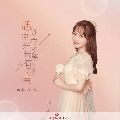 遇见你花光了我所有运气 (完整版)封面