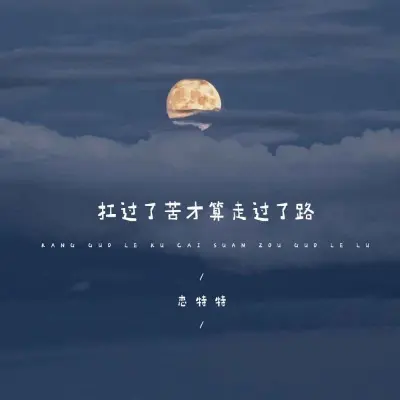 扛过了苦才算走过了路封面