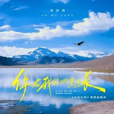 你在我的心里生长封面