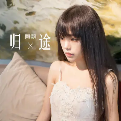 归途封面