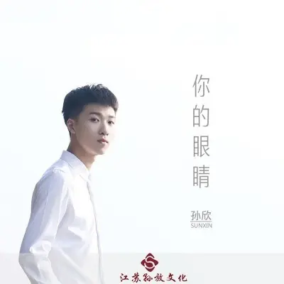 你的眼睛封面