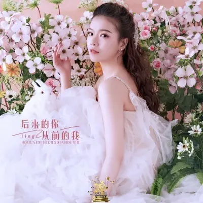后来的你从前的我封面