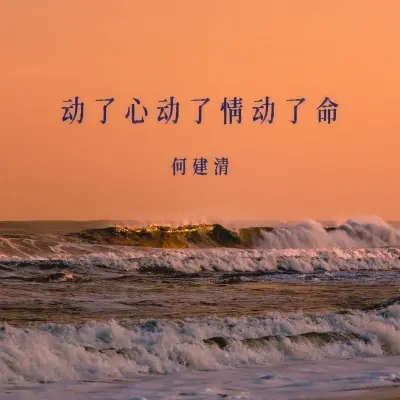 动了心动了情动了命封面
