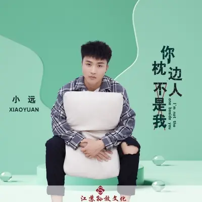 你枕边人不是我 (完整版)封面