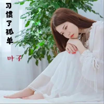 习惯了孤单封面