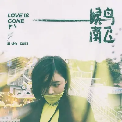 候鸟南飞 (DJ版) - 唐焯仪ZOET封面