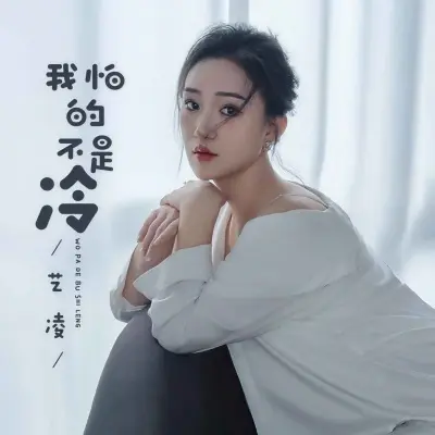 我怕的不是冷 (DJ默涵版)封面