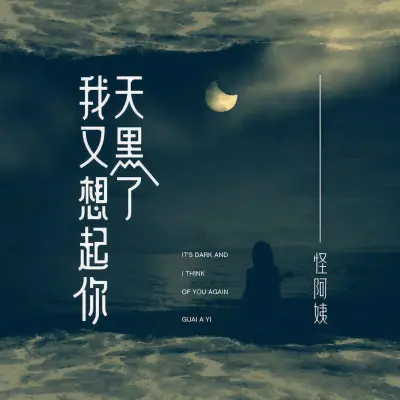 天黑了我又想起你 - 怪阿姨封面