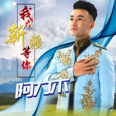 我在新疆等你封面