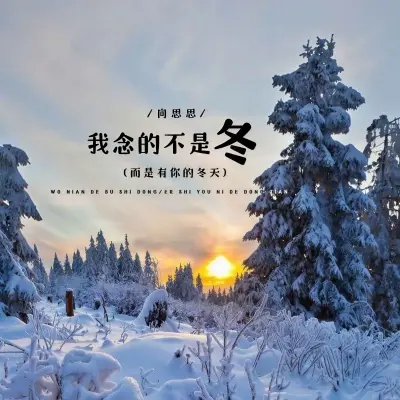 我念的不是冬 (而是有你的冬天) (Live合唱版)封面