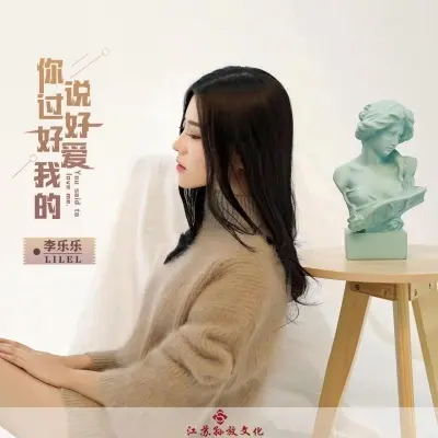 你说过好好爱我的 (完整版)封面