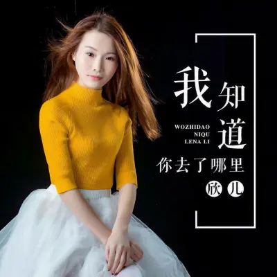 我知道你去了哪里封面