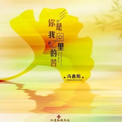 你是我回忆里的苦 (DJ版) - 冯鑫阳封面