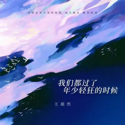 我们都过了年少轻狂的时候封面