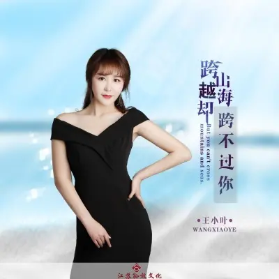 跨山越海却跨不过你 (完整版)封面