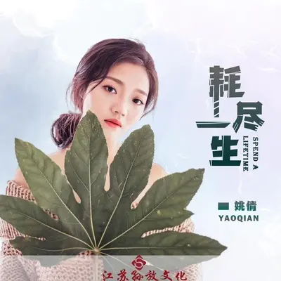 耗尽一生封面