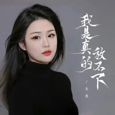 我是真的放不下封面