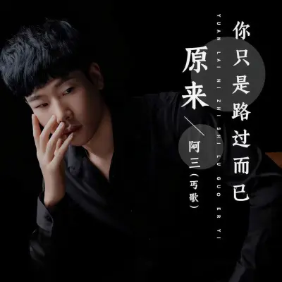原来你只是路过而已封面