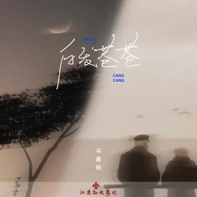 白发苍苍 (完整版)封面