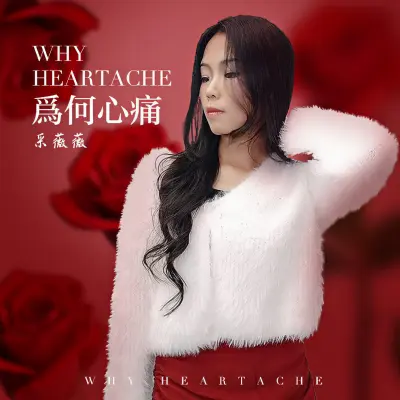 我爱你最真你伤我最深 (DJ大金版)封面