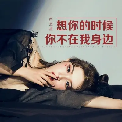 想你的时候你不在我身边封面