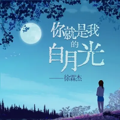 你就是我的白月光 (完整版)封面