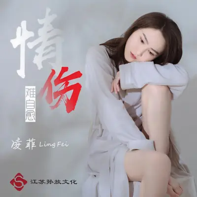 情伤难自愈 (DJ版)封面