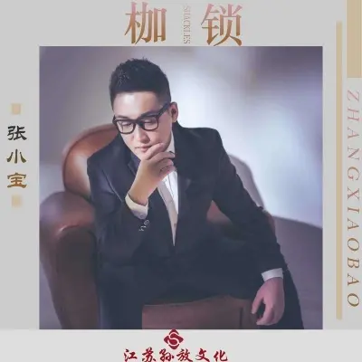 枷锁 - 张小宝封面