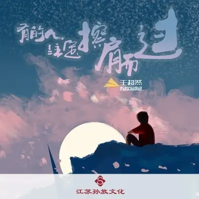 有的人注定擦肩而过 (DJ版)封面