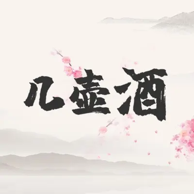 几壶酒 (DJ沈念版)封面