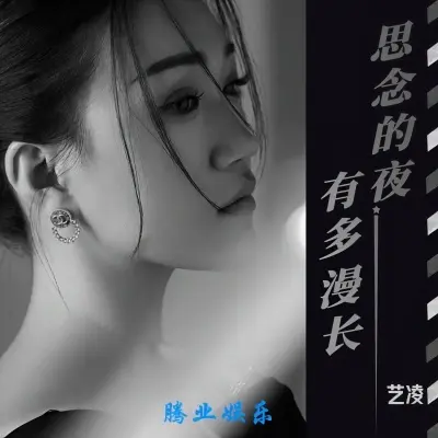 思念的夜有多漫长 (完整版)封面