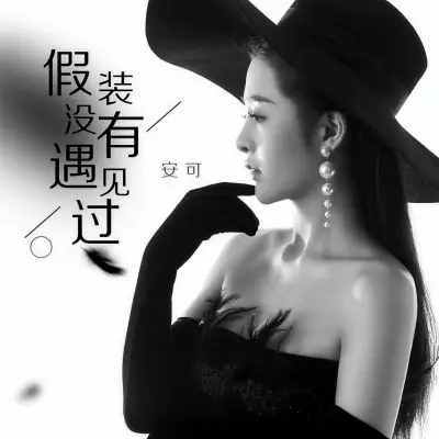 假装没有遇见过封面