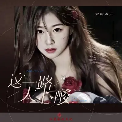 这一路太心酸 (完整版)封面