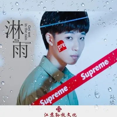 淋雨 (DJ版) - 孙欣封面